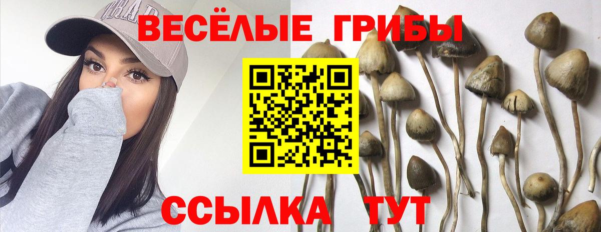 Псилоцибиновые грибы ЛСД  Галлюциногенные грибы мицелий  Вход с VPN  Надым 